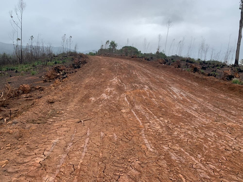 Imagem 6 de 15 de E.c / Você Com Seu Lindo Terreno