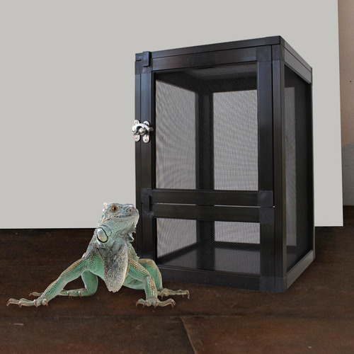 Caja De Cría De Hábitat Para Reptiles, Caja Negro