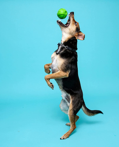Set 3 Pelotas De Latex Juguete Para Perro Hartz Durapplay