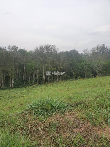 Imagem 1 de 3 de Venda Terreno Em Condomínio Tamanduá Santa Isabel R$ 300.000,00 - 36832v