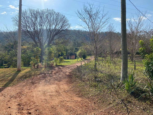 Imagem 23 de 30 de Sítio 20 Alqueires, Casa Sede Com 2 Dormitórios, 1 Suíte Com Banheira, Escritório, Casa De Caseiro, Área De Lazer Completa, Árvores Frutíferas - St00169 - 70653265