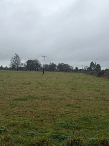 Terreno 7.000 M2 Paillaco, Título Inscrito, Ruta T-65