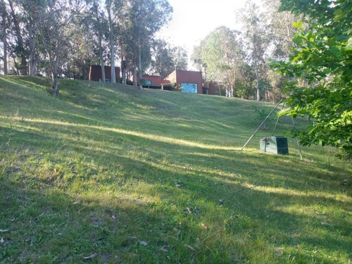 Chacra En Oportunidad Zona Jose Ignacio - Ref: 217418