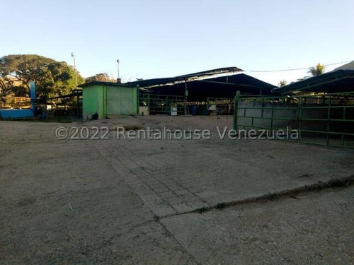 Julio Latouche 25-16896 Finca Ganadera En Venta Carabobo, 267 Hectáreas, Casa Principal De 550 Mts2, Dos Lagunas Para Riego.