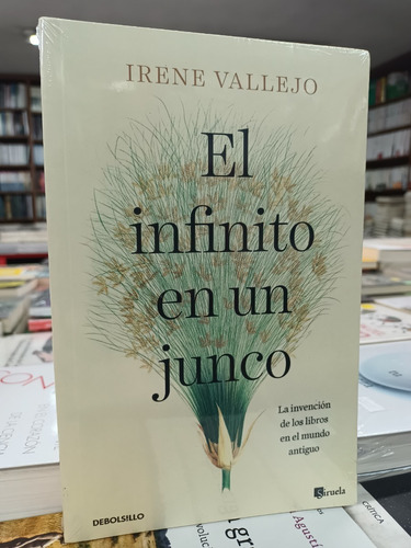 El Infinito En Un Junco