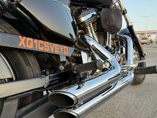 Harley Davidson Custom 1200 Xl 2019