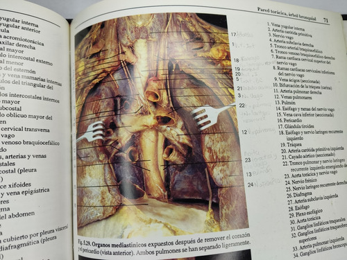 Libro Atlas Fotografico De Anatomia Del Cuerpo Humano 198c6 (Usado)