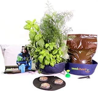 Grow Your Own Juego De Mini Plantillas, Contenedor De Jardín