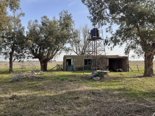Imagen 13 de 22 de Campo Ganadero En Roque Perez Muy Bien Ubicado