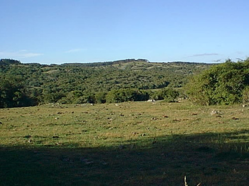 Imagen 4 de 6 de 330 Has Ganaderas En Lavalleja, Molles De Aiguá.