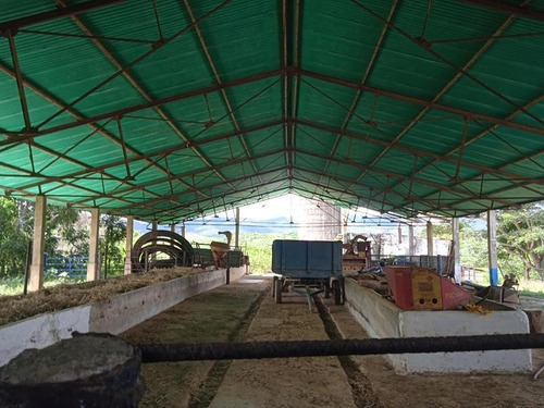 Imagen 4 de 14 de Venta Finca Estado Lara, Municipio Crespo