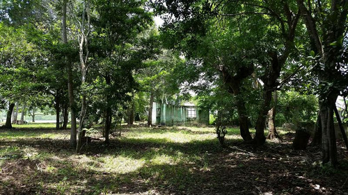 Venta Terreno 4,277 M² Juana Moza Frente Al Rio Tuxpan Veracruz