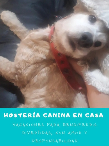 Imagen 3 de 5 de Hostería Canina En Casa De Familia.