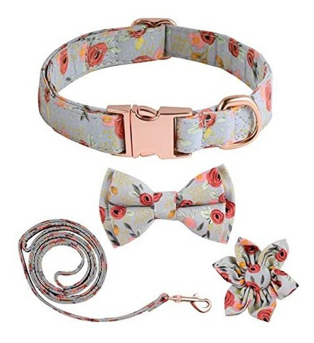 Savita Collar De Perros De Flores Y Correa Para 6dxpo