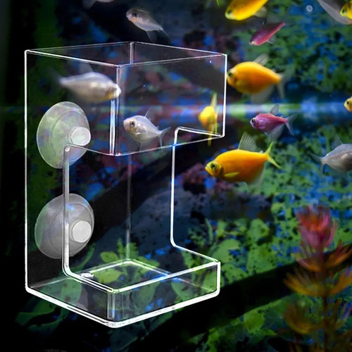 Comedero Acrílico Para Peces Y Camarones En Forma De Cuboide