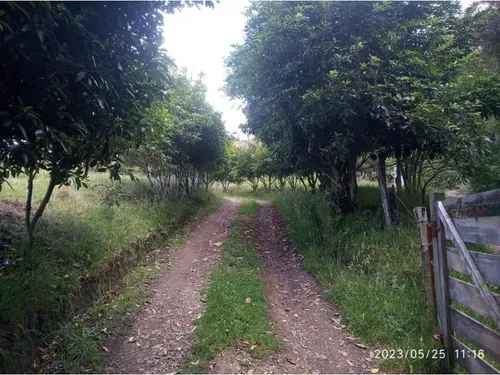 Venta Finca En Subachoque