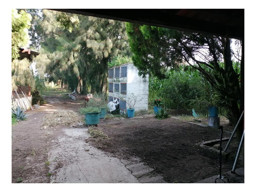 Imagen 10 de 30 de Terreno En Venta Cerca Del Aeropuerto