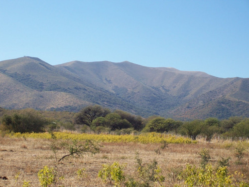 Imagen 2 de 8 de Exclusivo Campo De Montaña 50 Ha / Quebrada De Luna