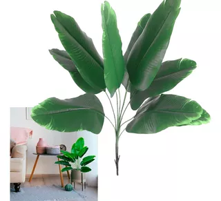 Follaje Palma Tropical Planta Decorativa Arbol Interiores