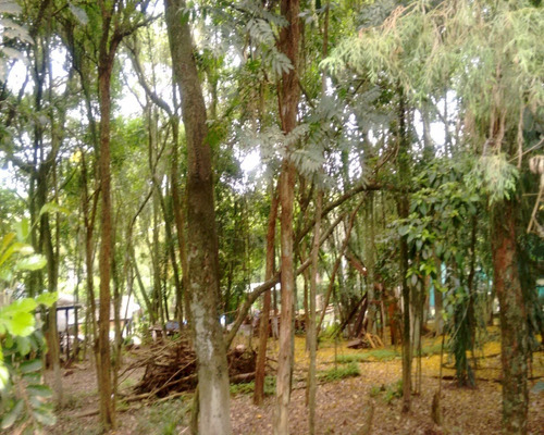 Chácara 3.200 M² - Palermo - Gravataí - Rs - 1597 - 32420118