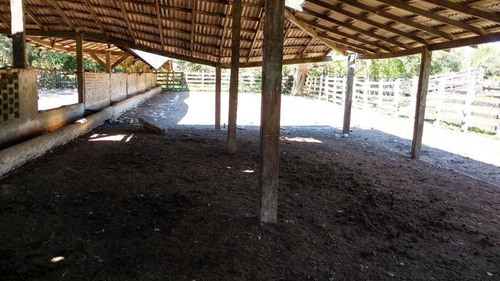Vendo Rancho Ganadero 223 Hectáreas Temapache Veracruz