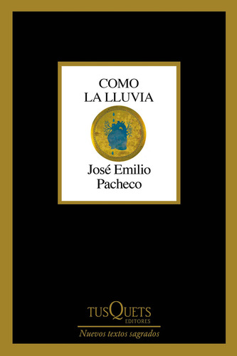Como La Lluvia