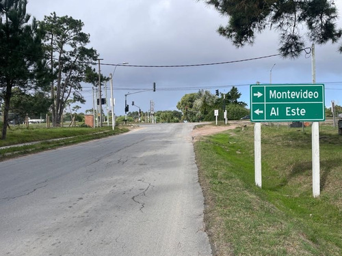 Venta Terreno El Pinar
