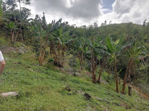 Imagen 12 de 30 de Vendo Finca En Avenida Condina Precio De Oportunidad