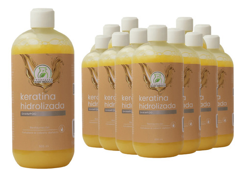  Shampoo De Keratina Control De Frizz (500ml) 12 Pack