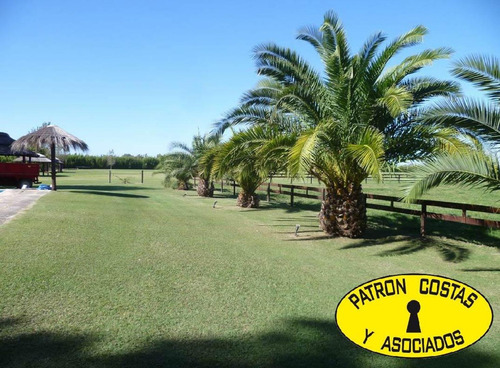 Imagen 13 de 21 de 2055cf-club Ecuestre/polo 10has Boxes-cancha-casa Principal