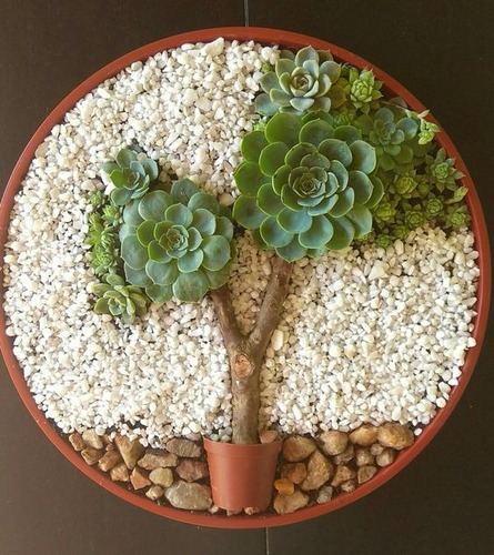 Piedra Para Decorar Macetas Y Peceras, Piedra Blanca 5kg