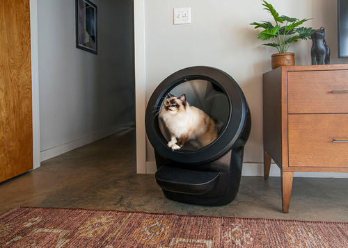 Litter Robot 4 Caixa De Areia Automática