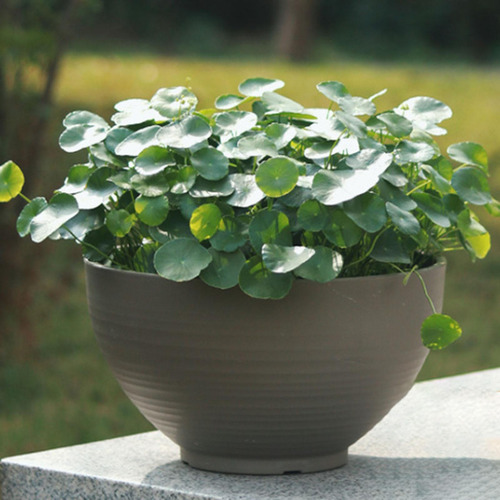 Maceta Para Jardín, Maceta Para 30 Centímetros Gris Oscuro