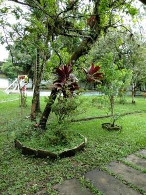Imagem 12 de 14 de Chácara Em Itanhaém-jd. Umuarama Prox À Pista, 6dorm. 3877