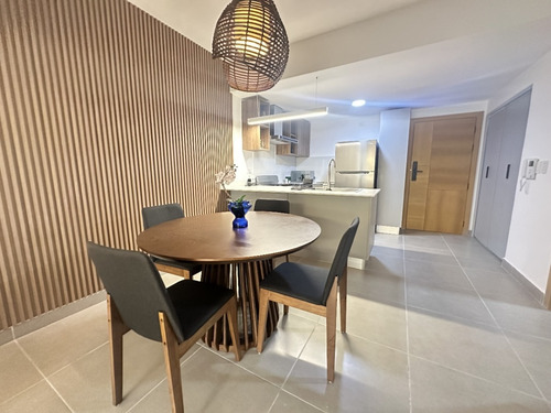 Apartamentos De 1 Habitación En Alquiler En Gazcue.