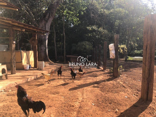 Imagem 15 de 19 de Chácara À Venda Em Igarapé, Bairro Batatal, - Te0261