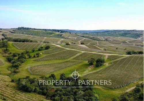 Bodega Garzón: 219 Hectáreas Colindantes