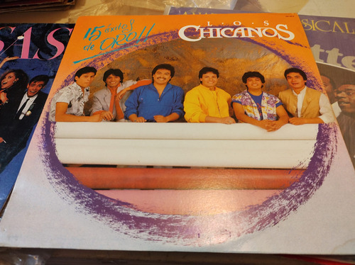 Los Chicanos 15 Éxitos De Oro Vinyl,lp,acetato Oferta1