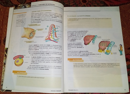 Libro Biología Polimodal (Usado)