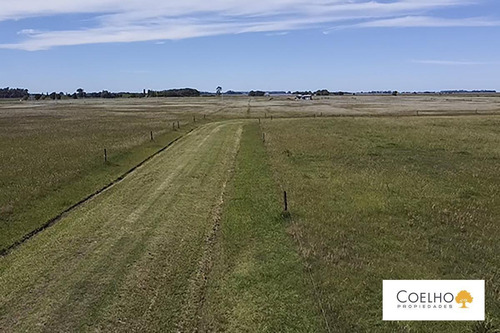 Imagen 22 de 30 de Terreno - Carmen De Areco