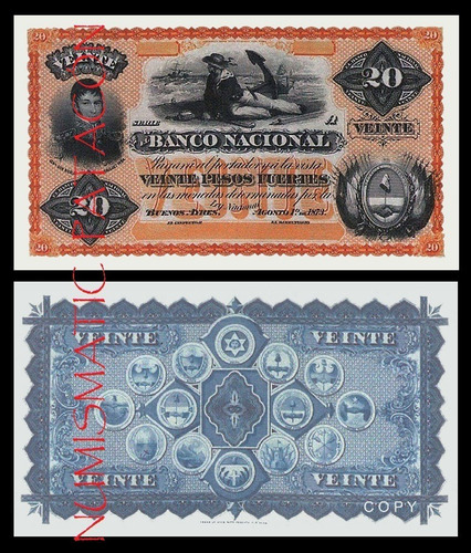 Billete 20 Pesos Fuertes Banco Nacional 1873 - Copia 655p