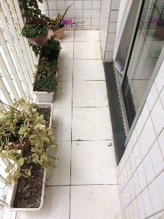 Imagem 17 de 23 de Apartamento - Ap00483 - 32535208