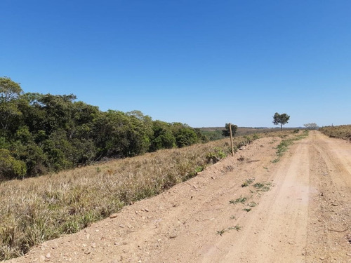 Imagem 10 de 10 de Chácara Com 1 Dormitório À Venda, 20000 M² Por R$ 295.000,00 - Zona Rural - Abadiânia/go - Ch0109