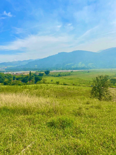 Imagem 5 de 13 de W40- Oportunidade De Ter Seu Terreno Agende Já Sua Visita