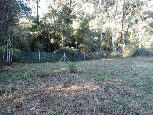 Imagem 12 de 15 de Terreno À Venda, 463 M² Por R$ 446.800,00 - Vivendas Do Arvoredo - Gramado/rs - Te0093
