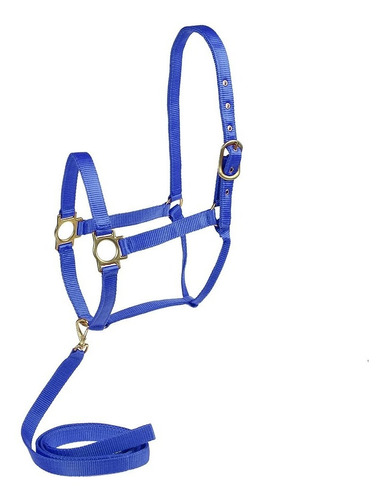 Cabresto Azul Com Cabo Bronc-steel Para Cavalo 25640