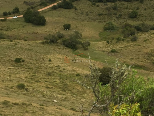 Imagen 4 de 14 de Venta De Chacra En Zona De Ruta 39 A 70 Km De Punta Del Este