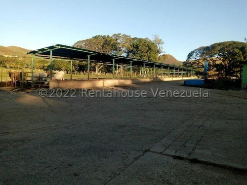 Julio Latouche 25-16896 Finca Ganadera En Venta Carabobo, 267 Hectáreas, Casa Principal De 550 Mts2, Dos Lagunas Para Riego.