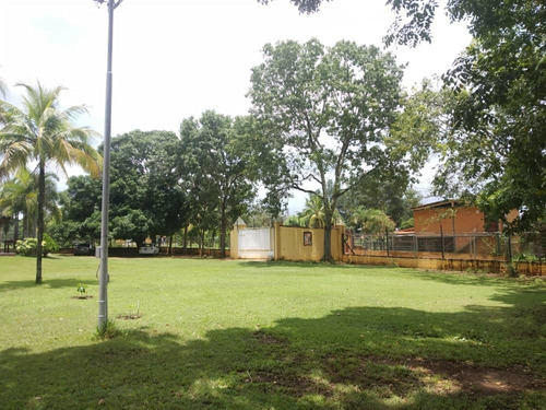 Imagen 25 de 29 de Rosaura Cortez Vende Finca En Sabana Del Medio - Barrera