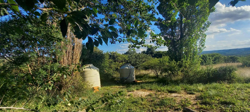 Imagen 5 de 30 de Campo 7 Hectreas Plano Con Chalet, San Esteban